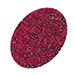 0806cranberry